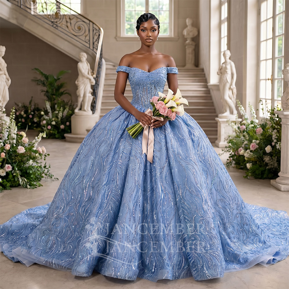 Embroidery Organza - Customized Blue Quinceanera Dress Court Train