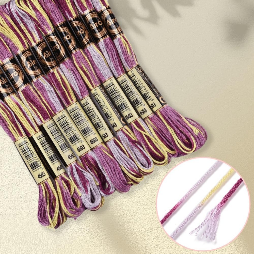 6 Strands Purple Variegated Em - Embroidery Gradient 评论和价格